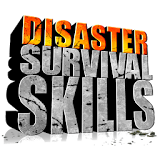 Natural Disasters Survival icon