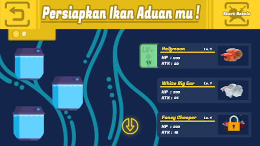 Adu Ikan Cupang Screen 2