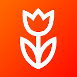 Cover Image of 下载 Flowwow – Reliable delivery  APK
