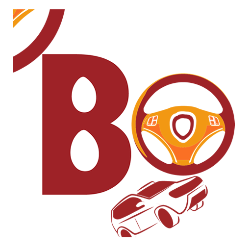 BorondoVip logo