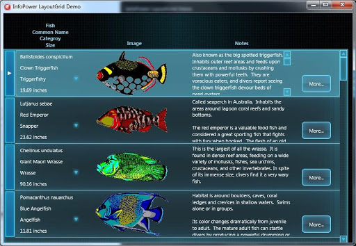 FirePower X for RAD Studio 10.