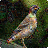 DreamDeeply icon