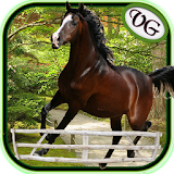 Arabian Horse Jumping icon
