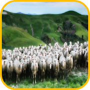 Top 15 Personalization Apps Like Sheep Wallpaper - Best Alternatives
