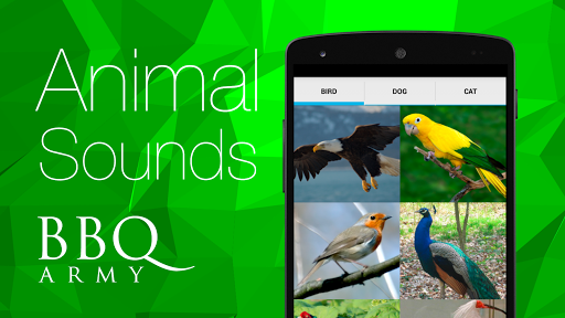 Android application Animal Sounds (Bird,Dog,Cat) screenshort