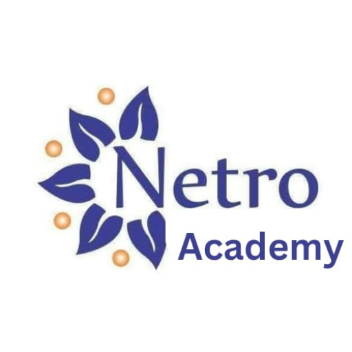 Netro Academy logo