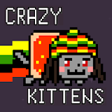 Crazy Kittens icon