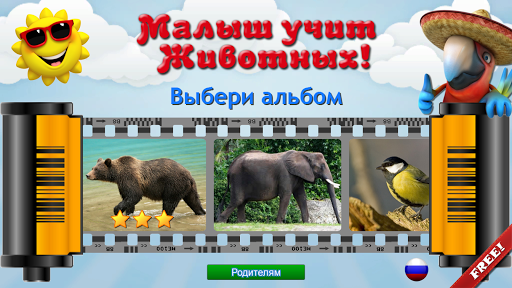 Предварительный просмотр приложения