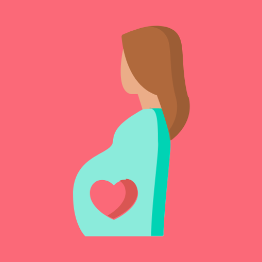 Pregnancy Widget