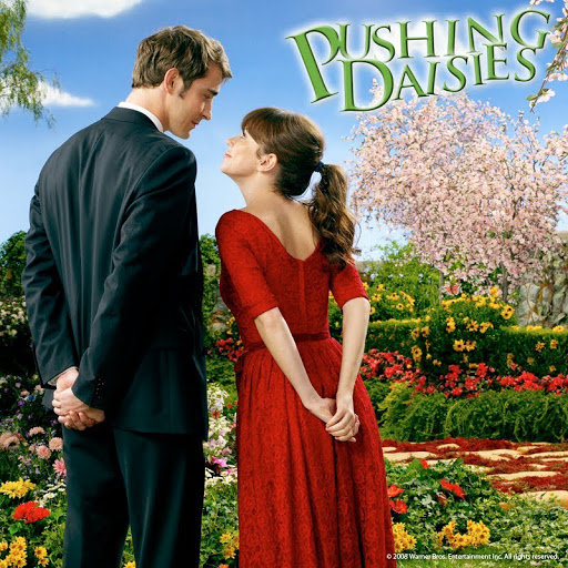 TV, Interrupted: Pushing Daisies Is Still Waiting For The Pie-Maker's Magic  Touch