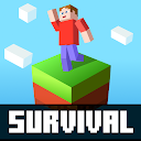 One Block Survival Maps