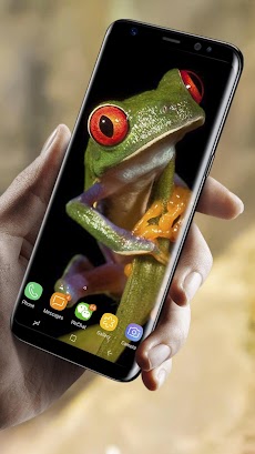カエルライブ壁紙無料 Androidアプリ Applion