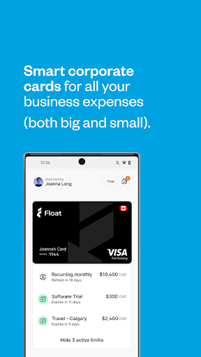 Float - Business Spending Screen 3