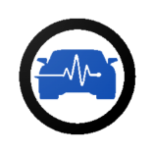 InfovehículoConsultarMatrícula logo