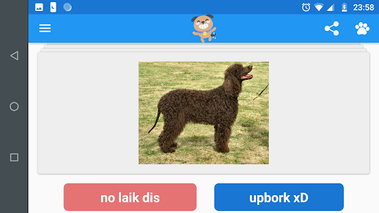 Rare Puppers(圖7)-速報App