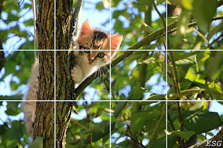 Natural Puzzle - Screenshot 1