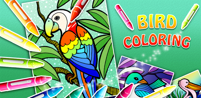 Bird Book Coloring: Painting By Number