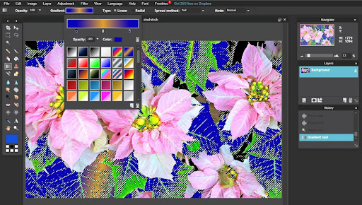 Pixlr x-Photo Editor pro