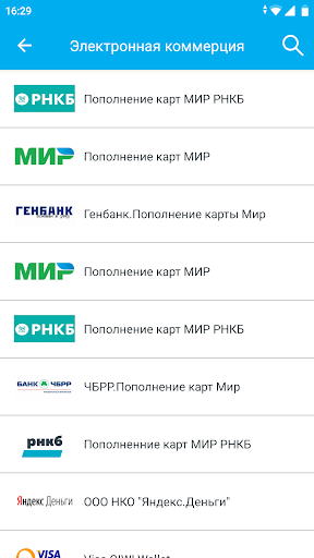 PayBerry Бизнес Screen 3
