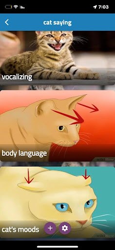 what is my cat saying Screen 3