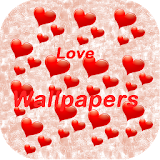 Love wallpapers icon