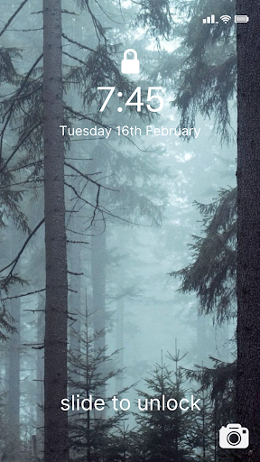 Aesthetic Forest Wallpaper 4K