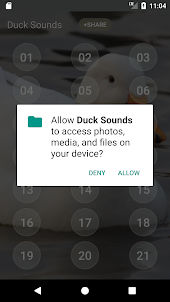 Duck Soundboard