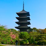 Japan:To-ji Temple(JP081) icon
