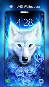 Galaxy Wolf Wallpapers 4K #091 UHD#093   Apk New Download 2022 1