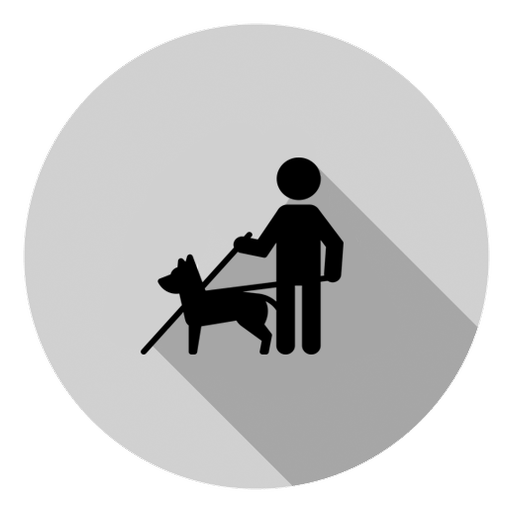 Blind Simulator logo