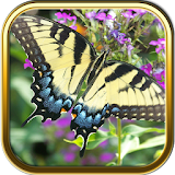 Free Butterfly Puzzle Games icon