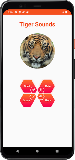 Tiger Sounds Screen 2