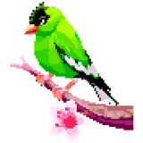 Birds Color by Number: Pixel Art, Sandbox Coloring icon