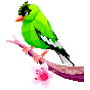 Birds Color by Number: Pixel Art, Sandbox Coloring