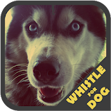 Dog Whistle Trainer icon