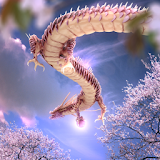 Sakura Dragon icon