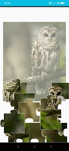 Owls Scary Puzzle Game