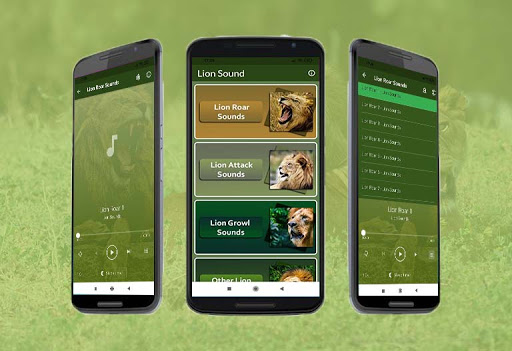 Android application Lion Sounds screenshort