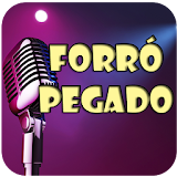 Forró Pegado Musica Fan icon