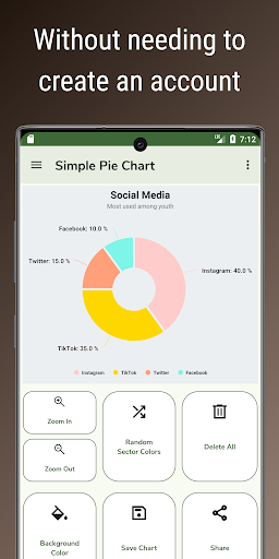 Simple Pie Chart Screen 3