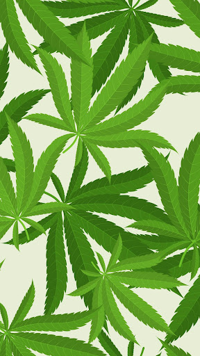Android application CBD Kingz screenshort