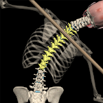Cover Image of Descargar Postura por músculo y movimiento  APK