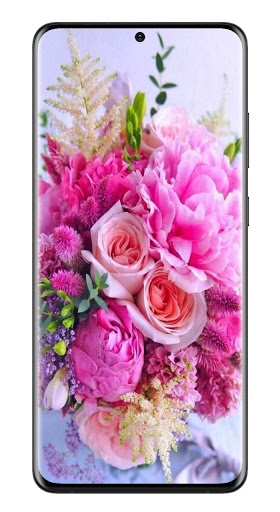 Android application خلفيات انستا screenshort