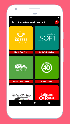 Radio Denmark + DAB Radio FM