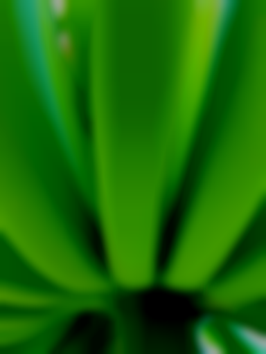 Android application Agros Movil screenshort