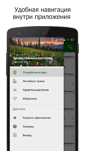Лекарственные растения Screen 3