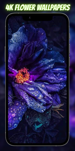 صور خلفيات ورد 2021