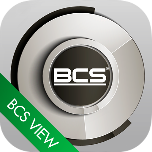 BCS View logo
