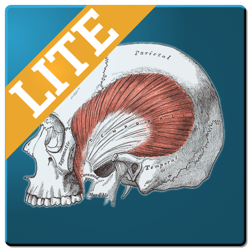 Muscle Memory Lite  Icon