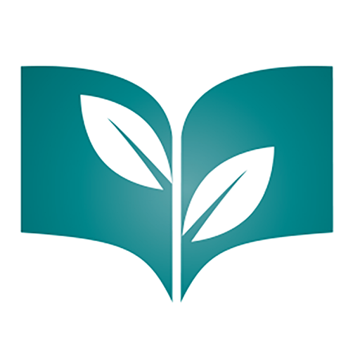 Social Media Start-up Strategy